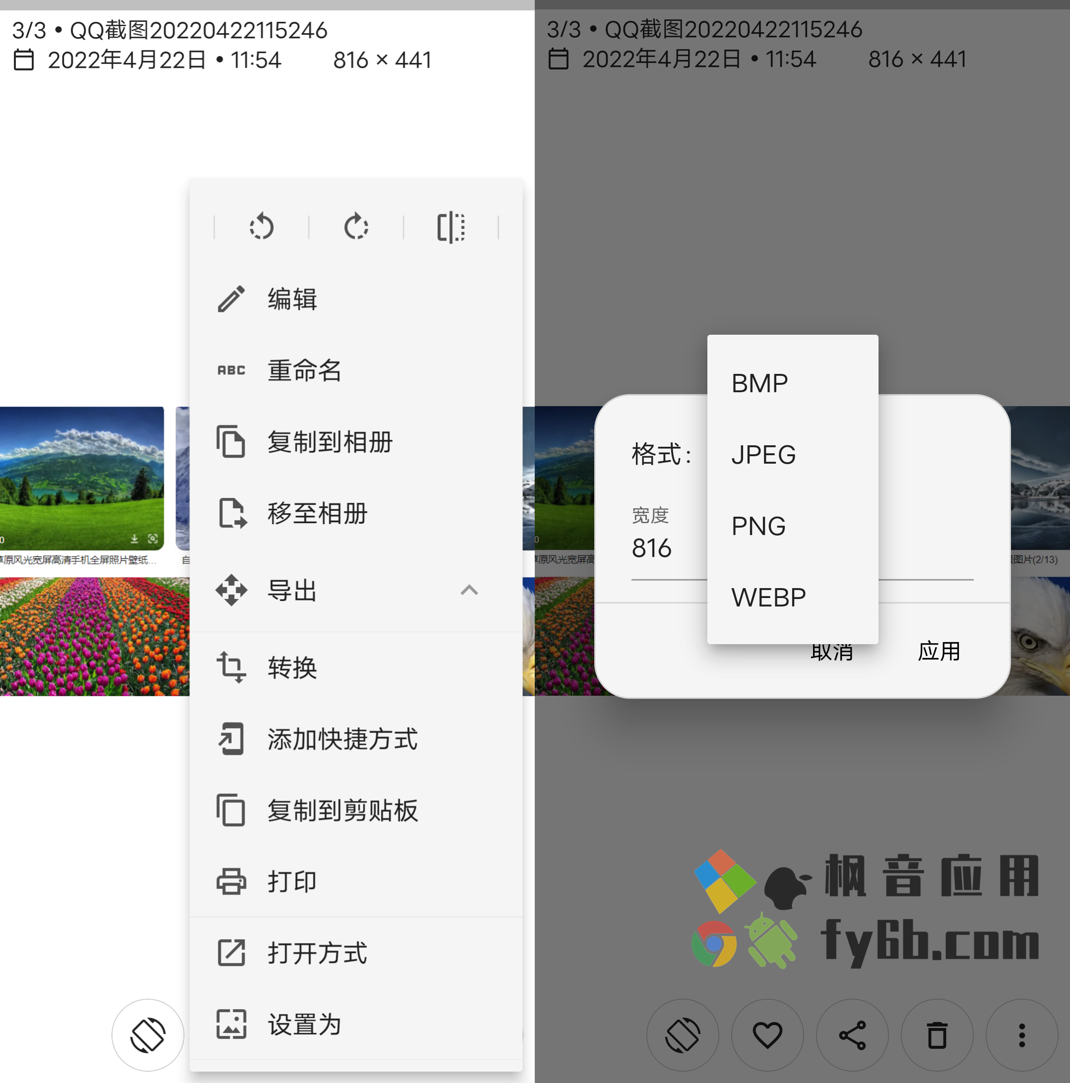 Android Aves图库_1.6.4