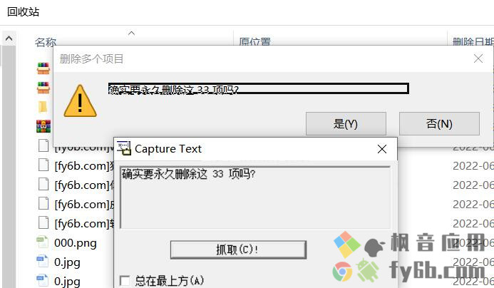 Windows Capture Text抓取弹出框内文字 v1.0 便捷版