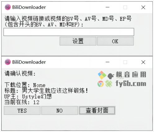 Windows BiliDownloader B站下载器_v0.12.4 简易GUI便携版