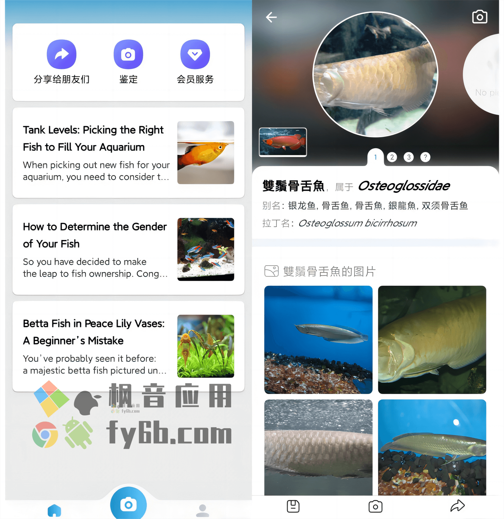 Android Picture Fish AI鱼类名鉴定_v2.4.18