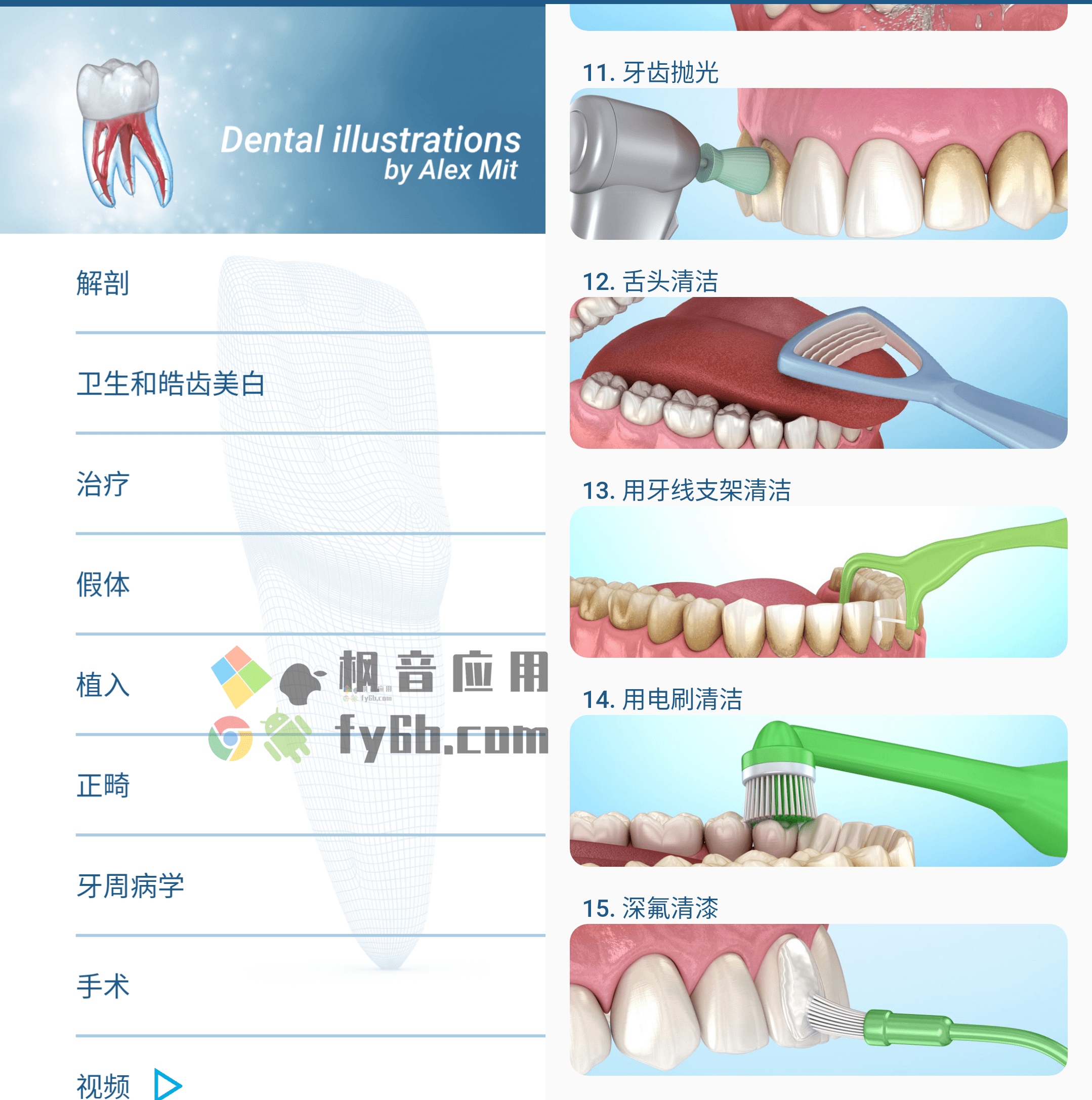 Android Dental Illustrations 牙科3D图解_v2.0.86