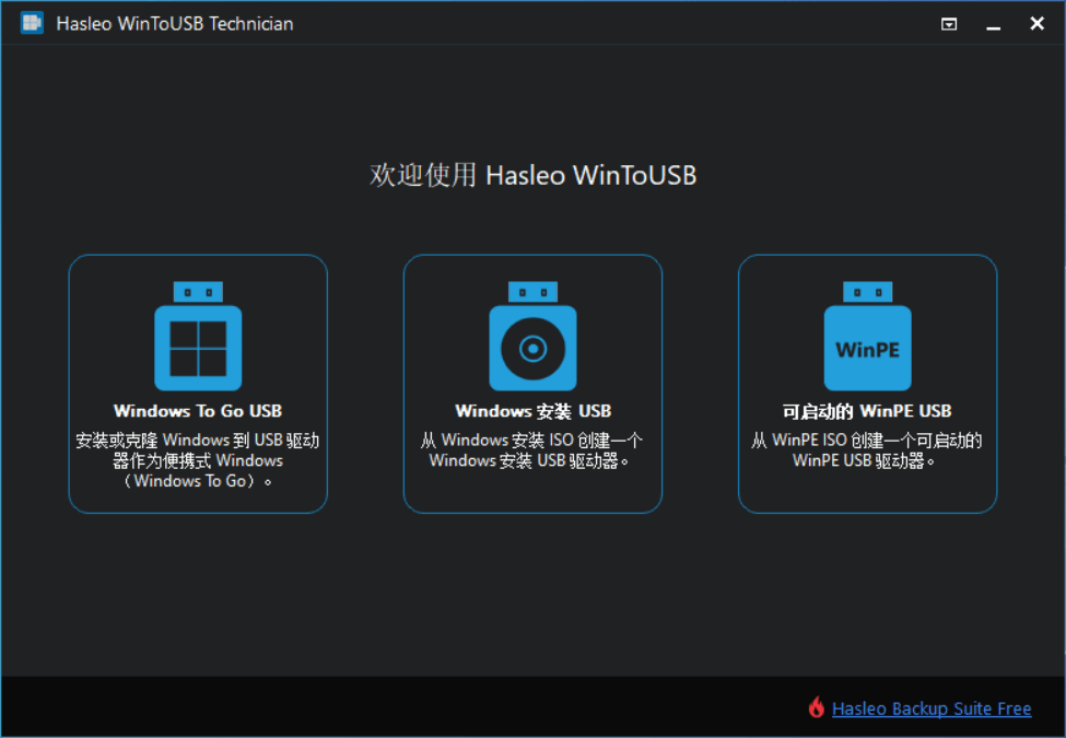 Windows Hasleo WinToUSB Technician U盘安装系统工具_v8.4 技术员便携版